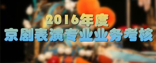 页面上带JJ的黄站国家京剧院2016年度京剧表演专业业务考...